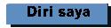 Diri Saya