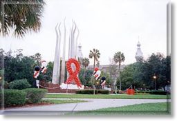 pic3.jpg (17548 bytes)