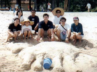 Our great Bull sand curving..... But, why look like an elephant ?