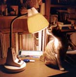 My Ah Nee on my desk