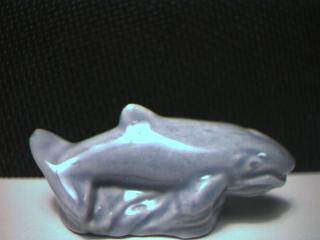 Whale