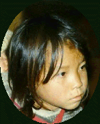 child6.gif (18511 bytes)