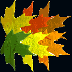 fallleaves.gif (8359 bytes)
