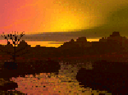 solitude.gif (19390 bytes)