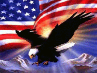 useagle.gif (83005 bytes)