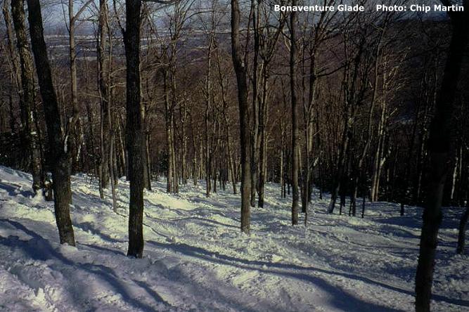 Bonaventure Glade, Jay Peak
