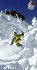 Jay Peak tree skier