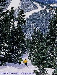 The Black Forest at Keystone