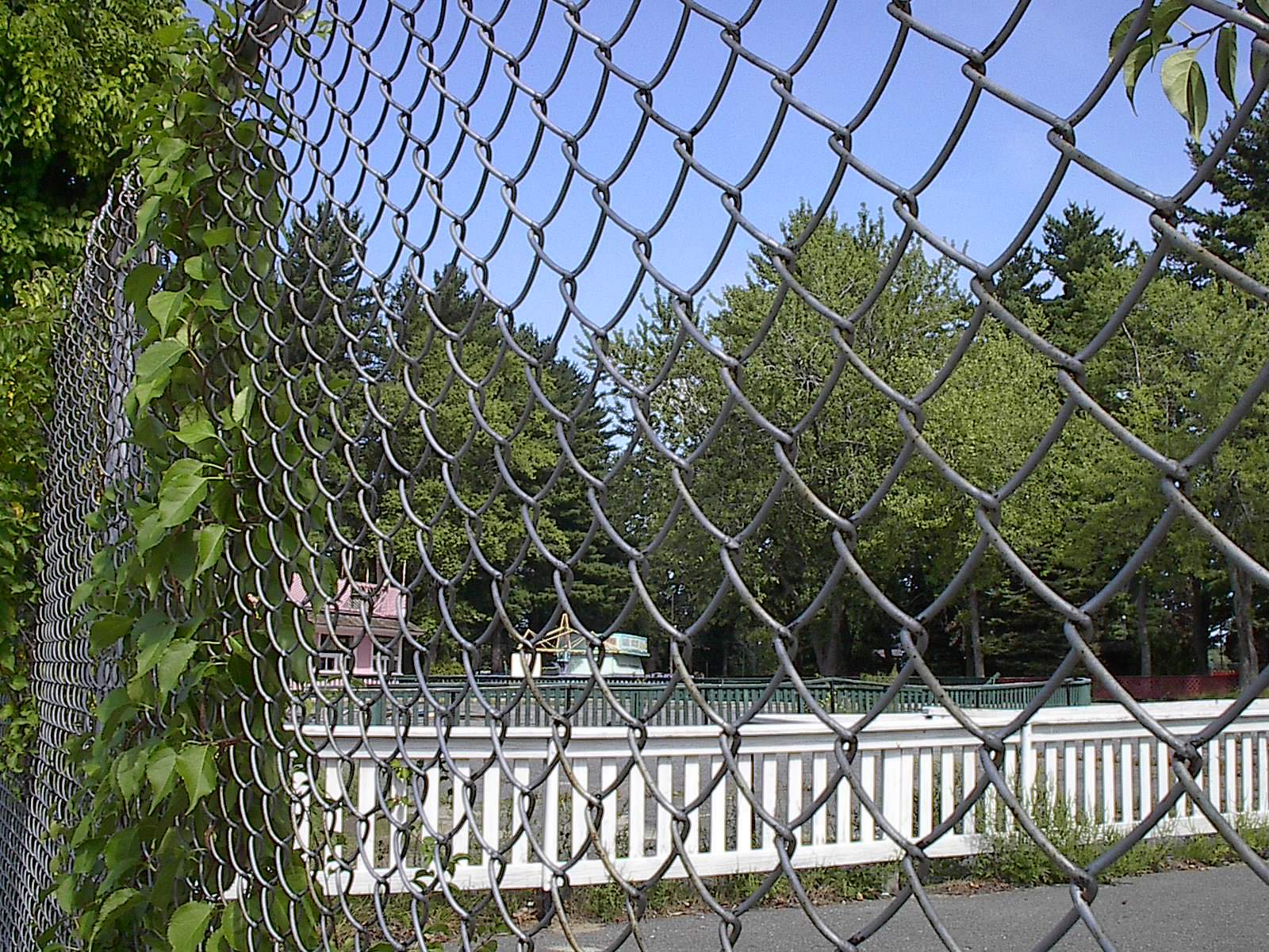 Have you bought a Whale Yet !