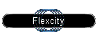 Flexcity