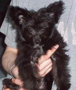 Pixel's First Picture