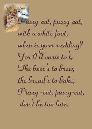 Pussy Cat