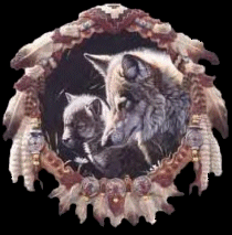 drmcachr1.gif (31596 bytes)