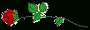 ltlrose.gif (1726 bytes)