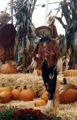 Pumpkin Patch at CrossPoint