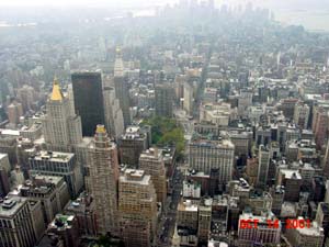 A view from Empire State Building I