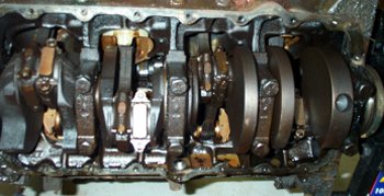 {short description of image}