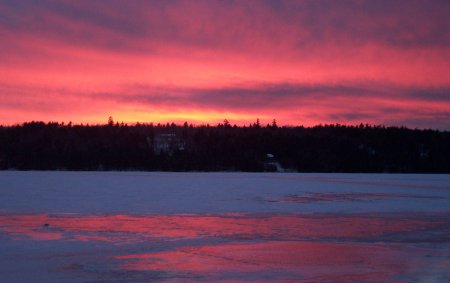 {short description of image}