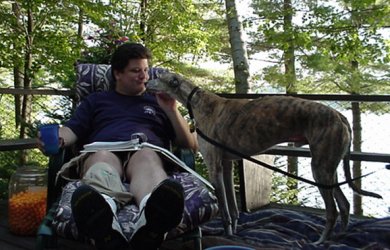 {short description of image}