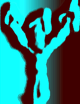 My other Favorite Group