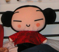 pucca!