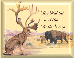The Rabbit and the Antler's Cap
