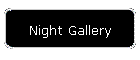 Night Gallery