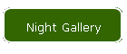 Night Gallery