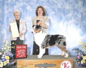 Picture of Favor Winning a Group Three.