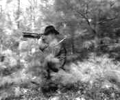 Mar24_16a.jpg (31339 bytes)