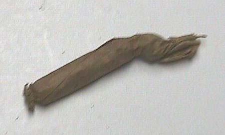 cappk.jpg (20476 bytes)