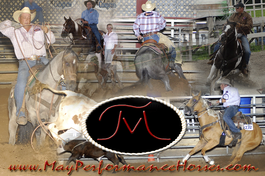 Click to Enter the Site!