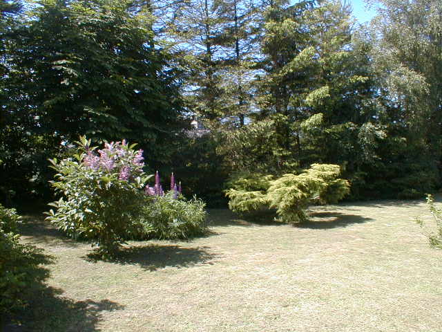 bildb21.jpg (60725 bytes)