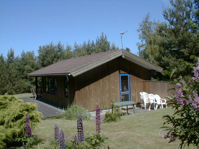 BILDB23.jpg (62136 bytes)