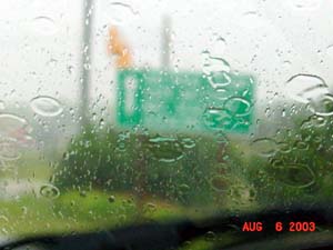 Raining cats & dogs....