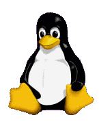 Cool Penguin