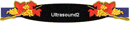 Ultrasound2