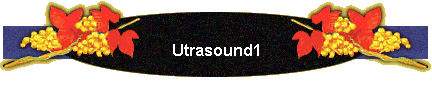 Utrasound1