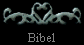  Bibel 