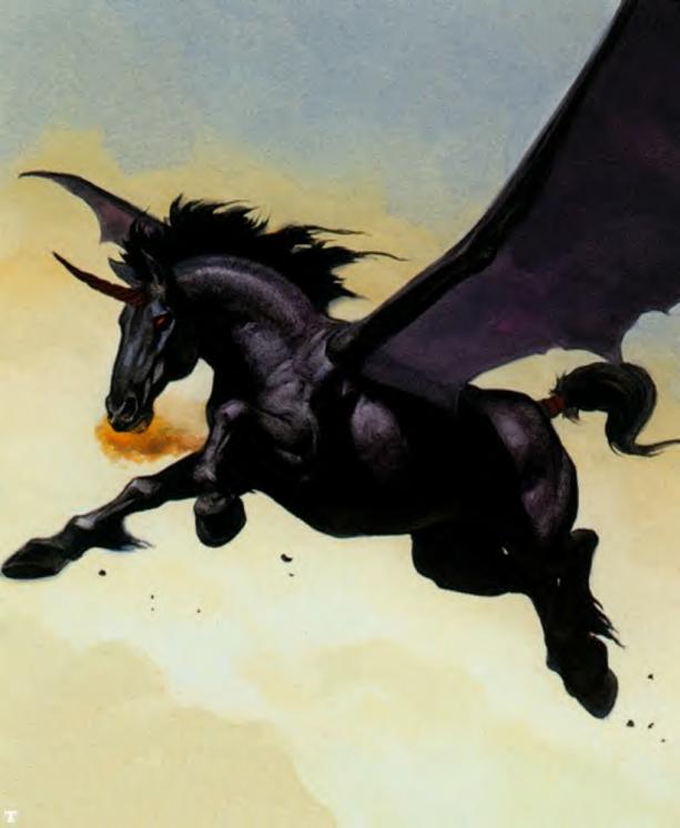 Black Pegasus