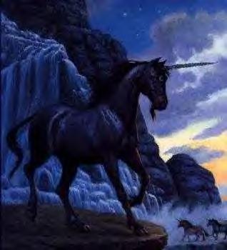 Black Unicorn