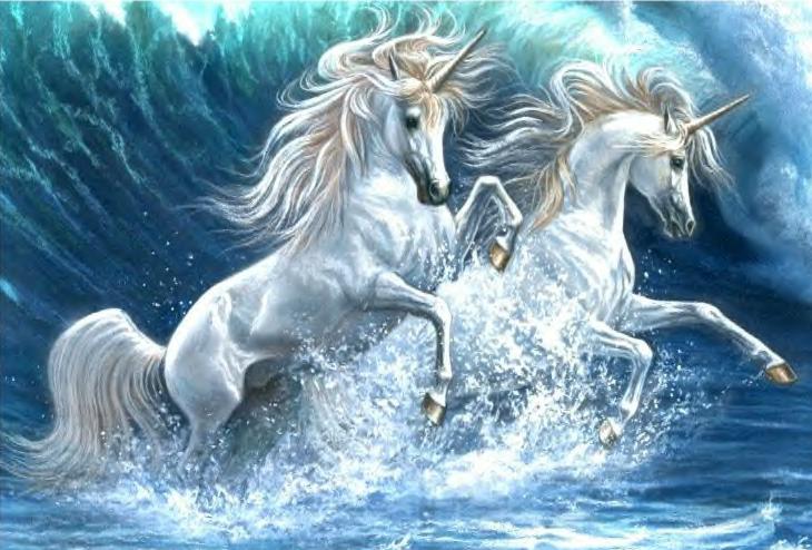 Ocean Unicorns