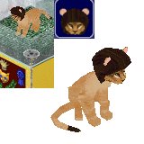BastDawn Lion Cat