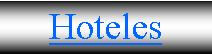 Cuadro de texto: Hoteles