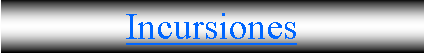 Cuadro de texto: Incursiones