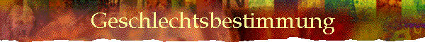 Geschlechtsbestimmung