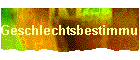 Geschlechtsbestimmung