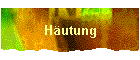 H�utung
