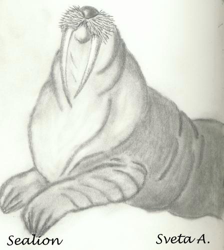 Click on the img to see larger view