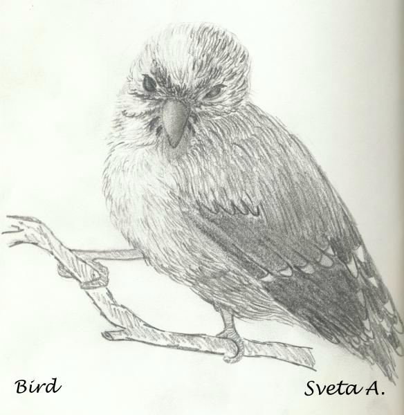 Click on the img to see larger view